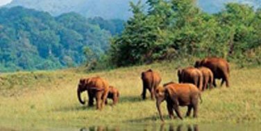 cochin taxi, book kerala taxi