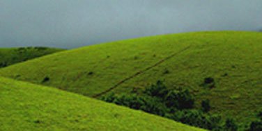 cochin to munnar taxi